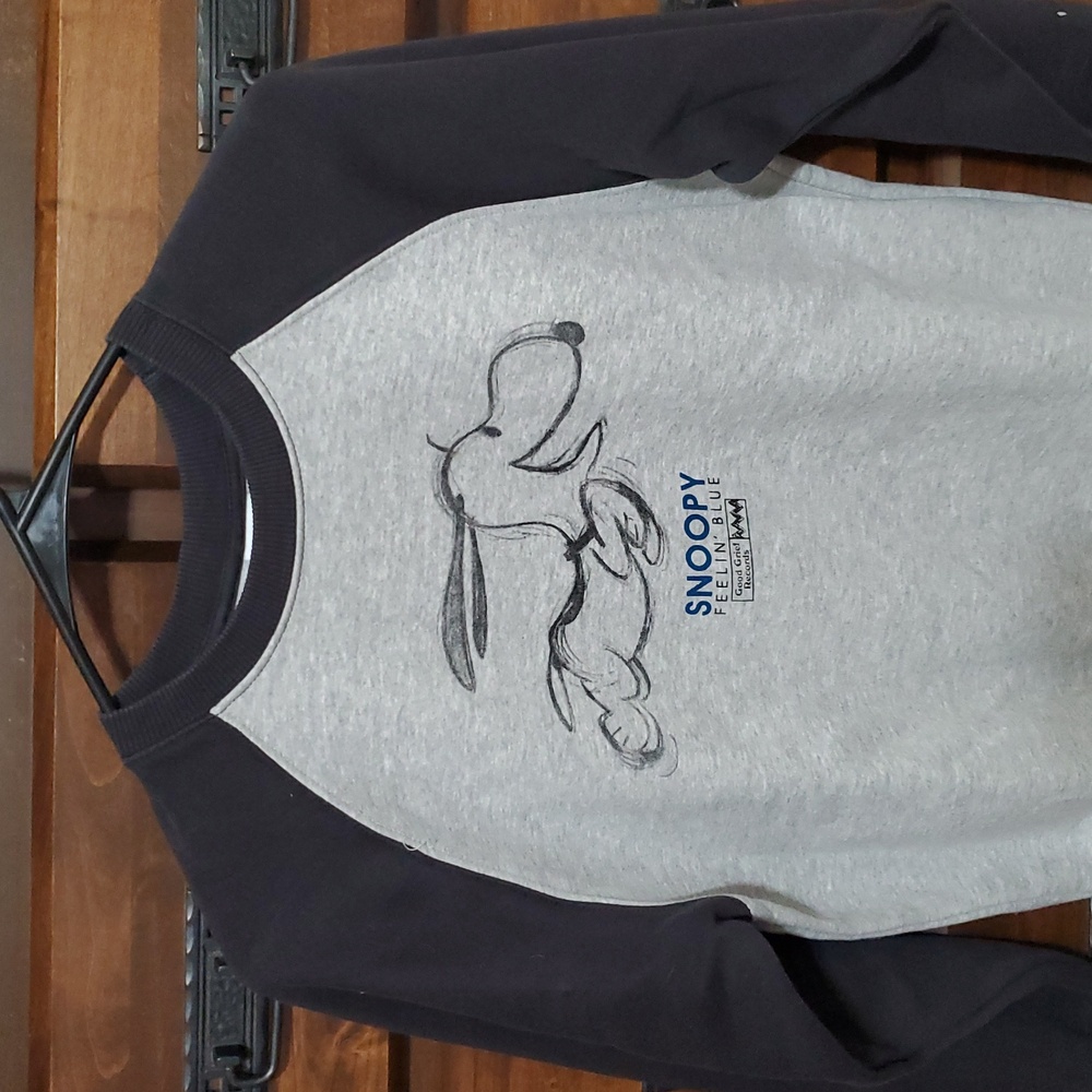 Zara Peanuts Collab With Snoopy Sweatshirt